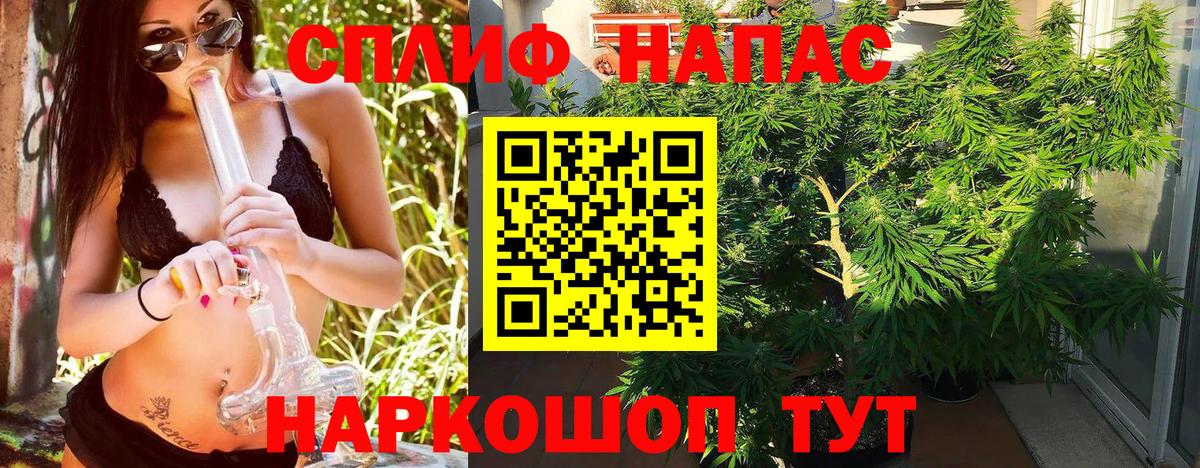 Королёв  Конопля OG Kush  Бошки Шишки THC 21%  Бошки Шишки сатива  Бошки марихуана конопля  Вход с VPN 